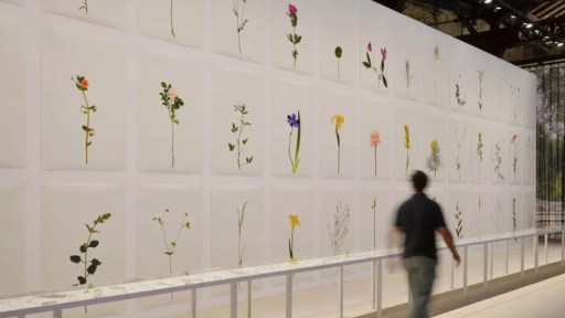 Credit: Bureau Bas Smets, Victor&Simon