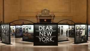 Images: Ahmed Gaber for Dear New York Images: Ahmed Gaber for Dear New York