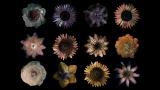 Credit: StudioDrift