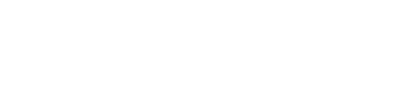 Insight