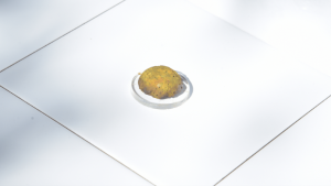 Credit: Yidan Xu Credit: Yidan Xu